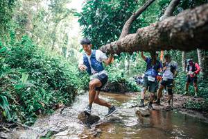 BIB: 
                            <button type="button" onclick="openModal(25373701)" class="btn btn-primary btn-sm float-right btn-popup" data-toggle="modal" data-target=".modal-high-quality">
                        <i class="fas fa-shopping-cart"></i> Add to Cart
                    </button>
                                            <button type="button" onclick="isThisMe(25373701, true)" class="btn btn-success btn-sm float-right btn-popup btn-isme hidden" data-toggle="tooltip" data-placement="bottom" title="นี่คือรูปของคุณใช่ไหม คลิกที่นี่เพื่อเอาเข้าอัลบั้ม">
                        <i class="fas fa-plus"></i> Add to album
                    </button>
                    <button type="button" onclick="isThisMe(25373701, false)" class="btn btn-warning btn-sm float-right btn-popup btn-isnotme hidden">
                        <i class="fas fa-ban"></i> Remove from album
                    </button>